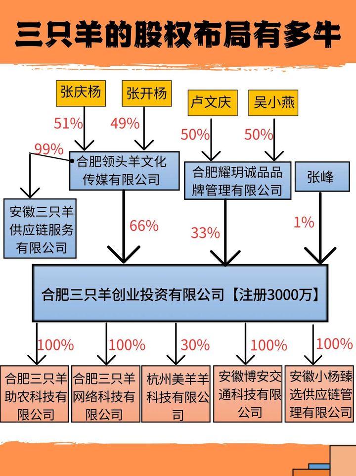 你知道"疯狂小杨哥"的股权布局有多牛吗?